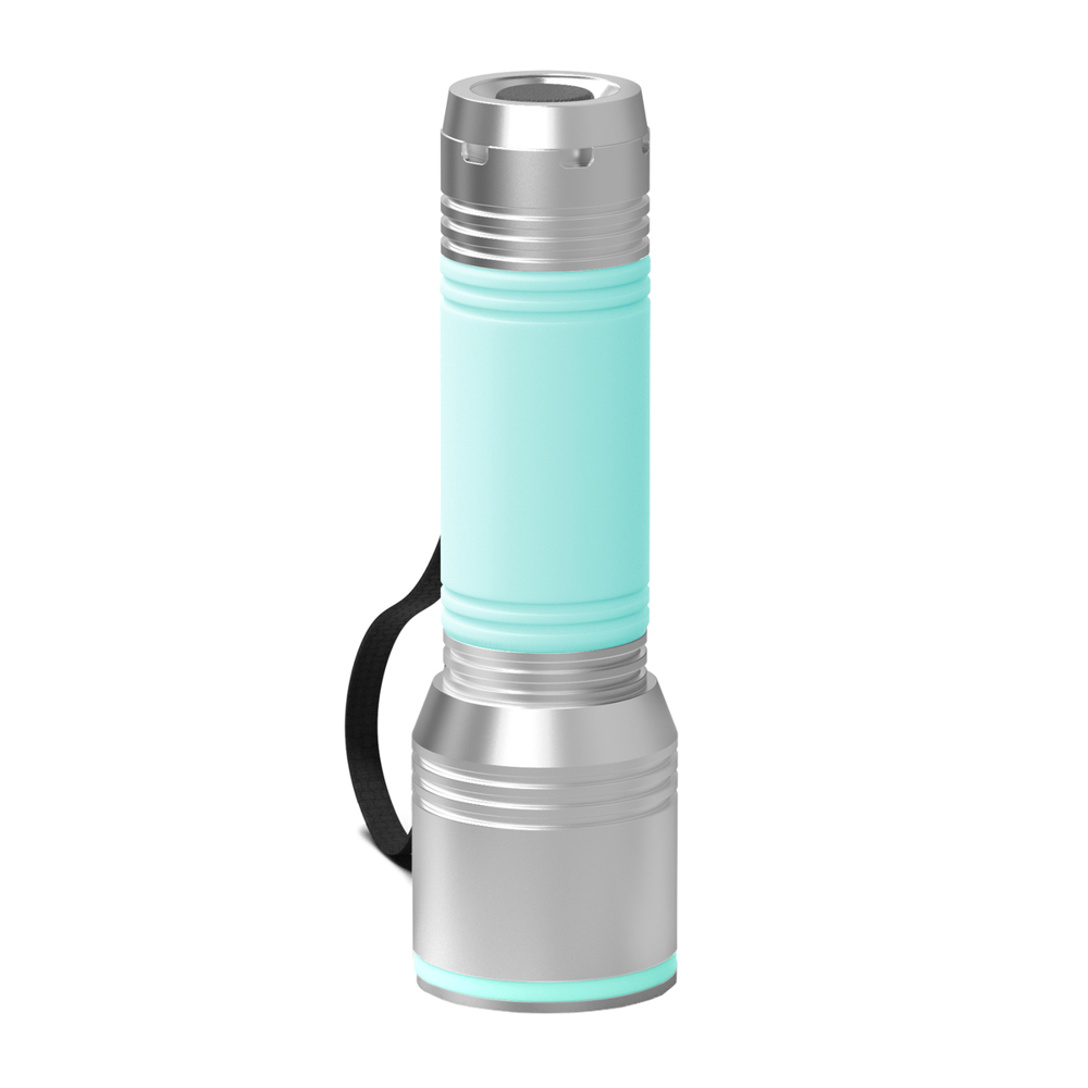 Taschenlampe REEVES-myFLASH 700 - silber, mint